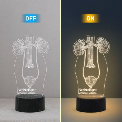 3D Illusion Kidney Acrylic Led Lamp Nephrologist Gift 3D Kidney Doctor Gifts